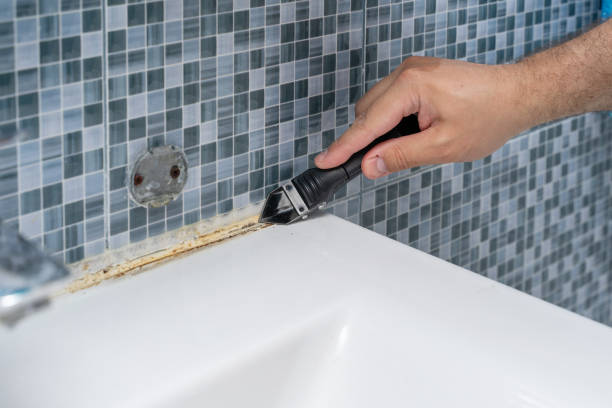Best Residential Mold Removal  in Eastlawn Gardens, PA