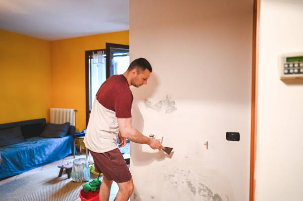 Best Water Damage Restoration  in Eastlawn Gardens, PA